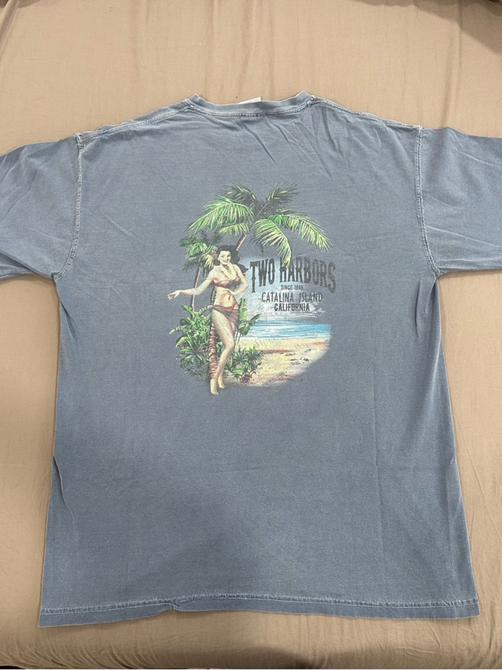 Comfort Colors Light Blue Crewneck Graphic Tee